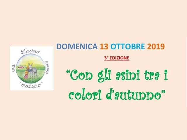 Moransengo | Passeggiata "Con gli asini tra i colori d'autunno"