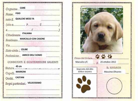 anagrafe_canina
